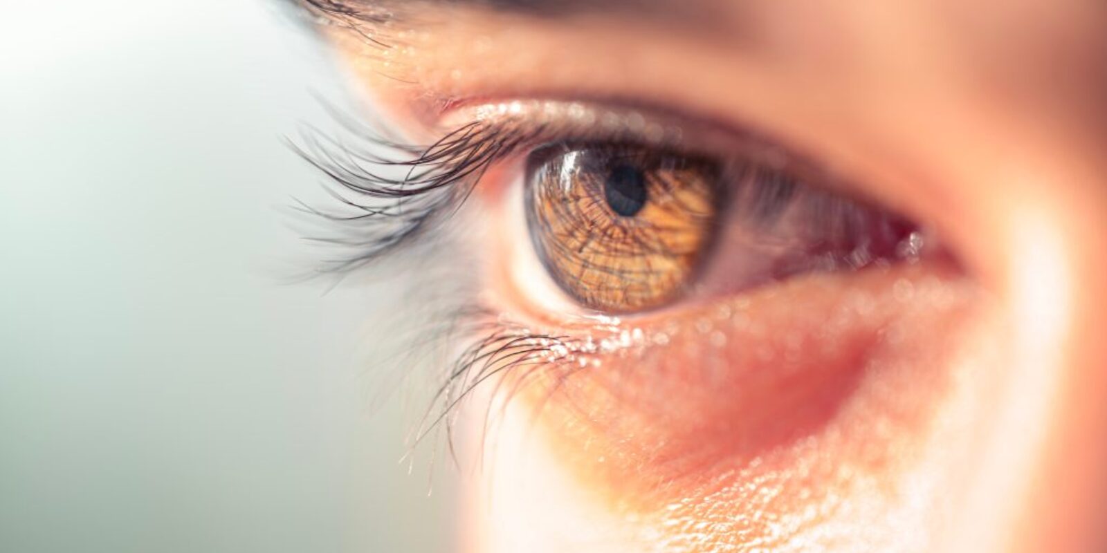 Brown,Man,Eye,Macro,Shot.,Macro,Shot,Of,A,Man's