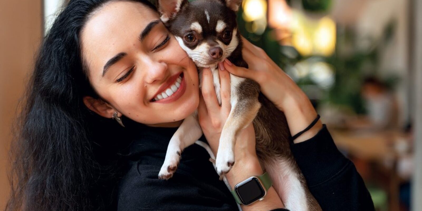 adorable-chihuahua-dog-with-female-owner