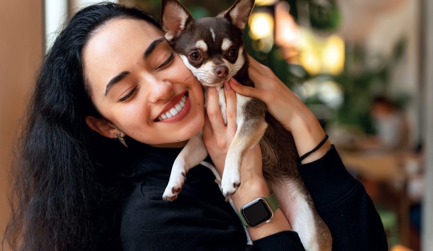 adorable-chihuahua-dog-with-female-owner