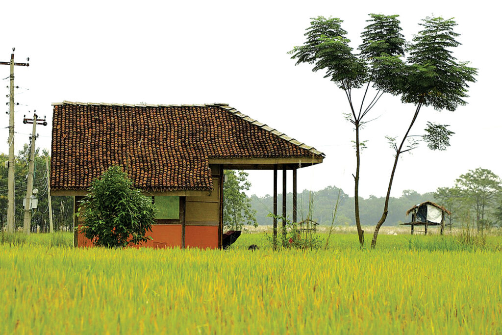 ROOTED IN PURPOSE NEPAL’S SMA TEAM WINS GLOBAL RECOGNITION