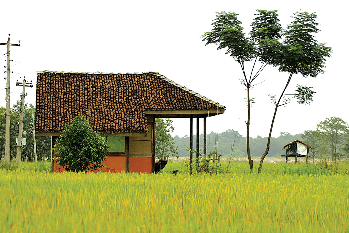 ROOTED IN PURPOSE NEPAL’S SMA TEAM WINS GLOBAL RECOGNITION